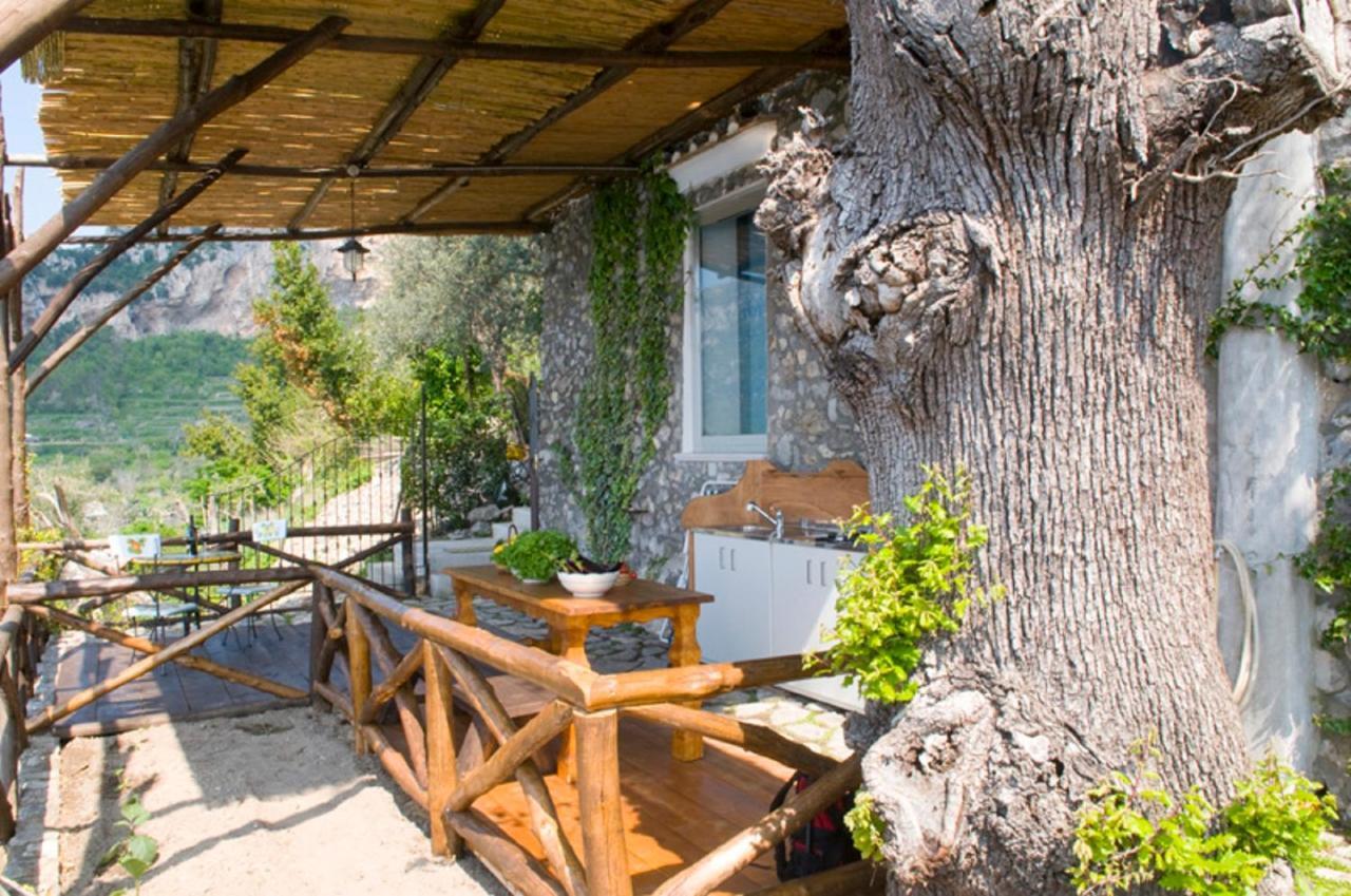 Fattoria La Tagliata Bed & Breakfast Positano Dış mekan fotoğraf