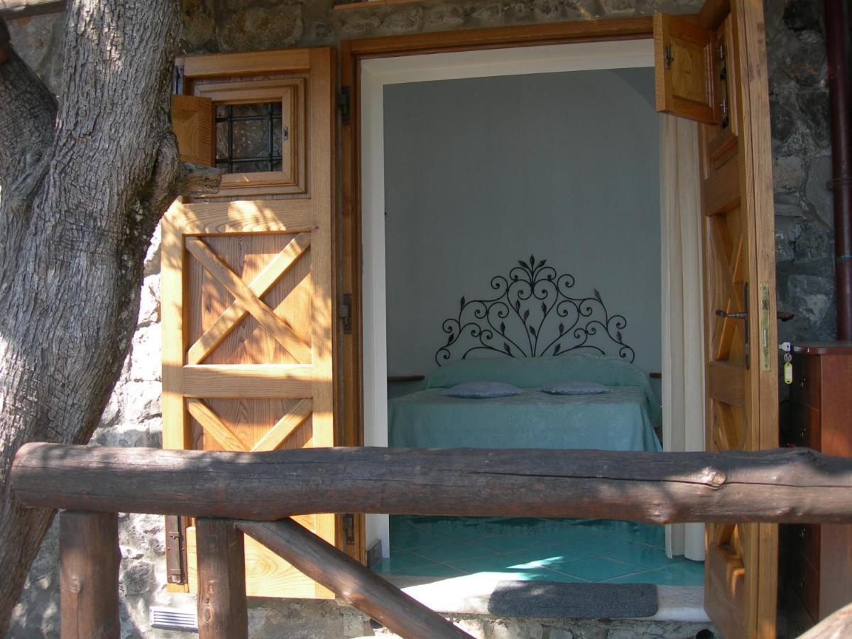 Fattoria La Tagliata Bed & Breakfast Positano Dış mekan fotoğraf