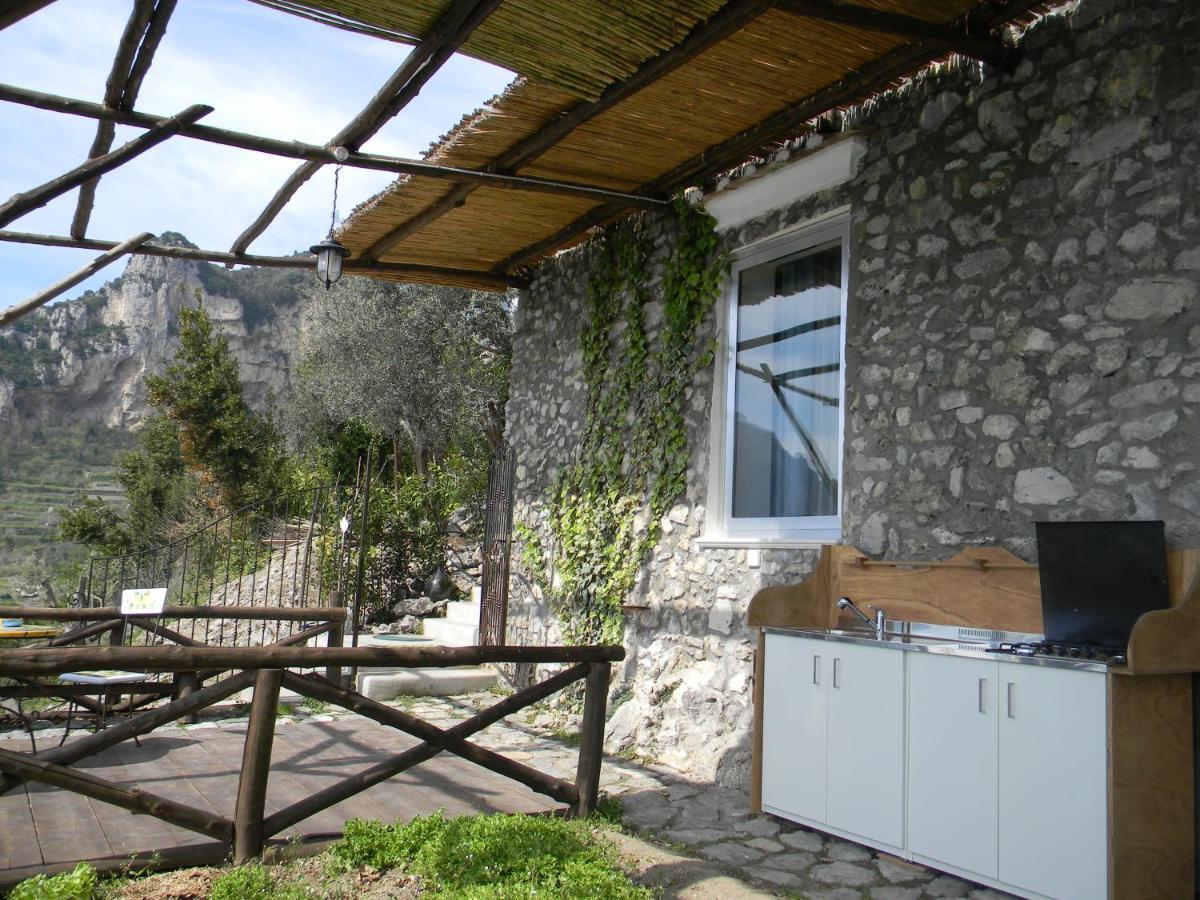 Fattoria La Tagliata Bed & Breakfast Positano Dış mekan fotoğraf
